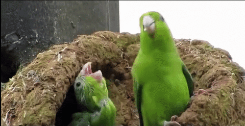 HotNewBreak GIFs of the Week 5-15-2019 #17