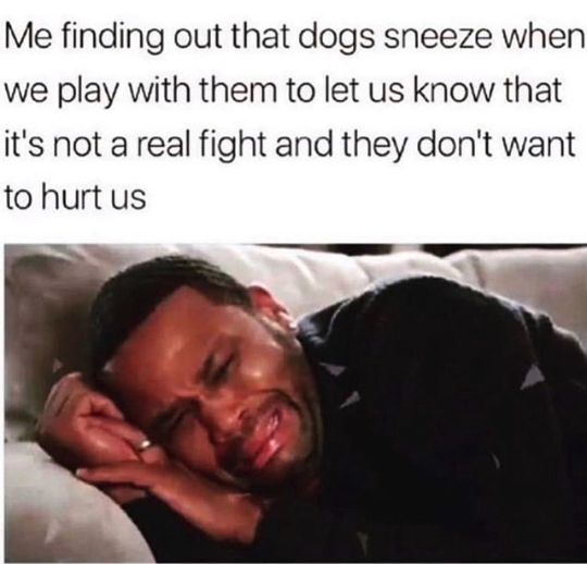 HotNewBreak Monday Memes 5-27-2019 #2