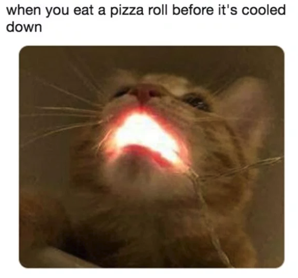 HotNewBreak Monday Memes 5-27-2019 #12