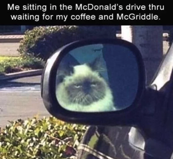HotNewBreak Monday Memes 5-27-2019 #14