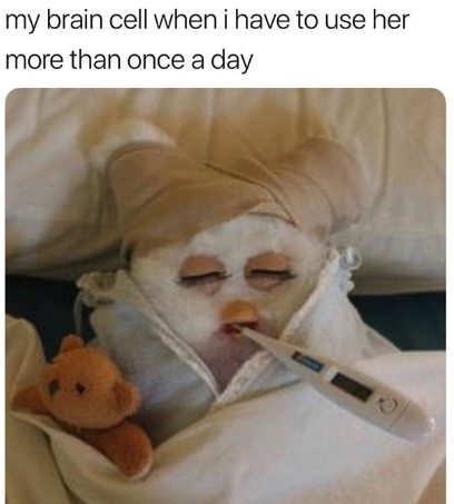 HotNewBreak Monday Memes 6-10-2018 #15