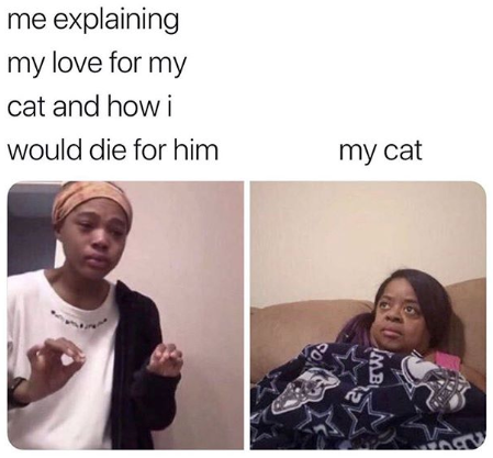 HotNewBreak Monday Memes 6-24-2019 #3