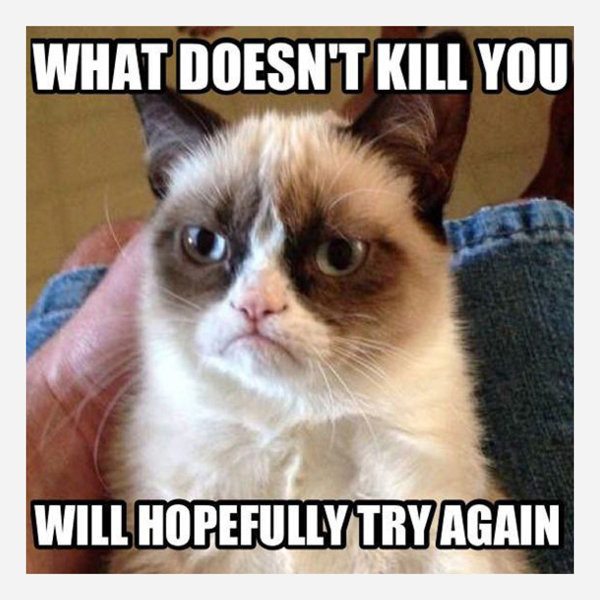 HotNewBreak Monday Memes RIP Grumpy Cat #2