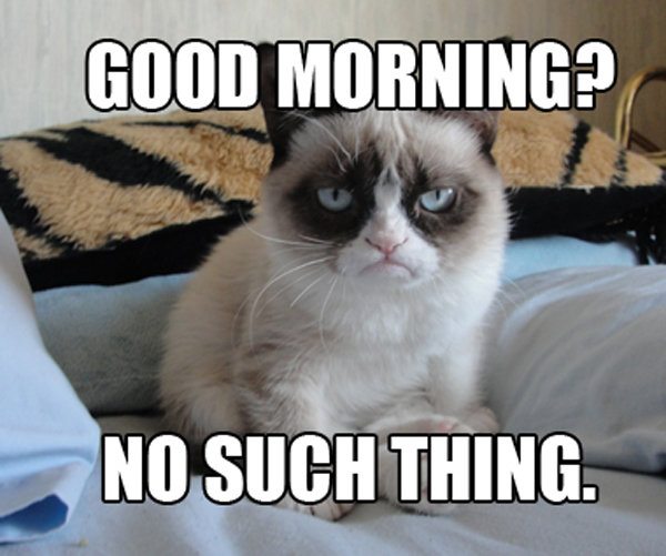 HotNewBreak Monday Memes RIP Grumpy Cat #3