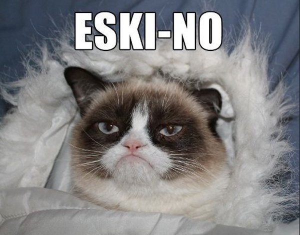 HotNewBreak Monday Memes RIP Grumpy Cat #4