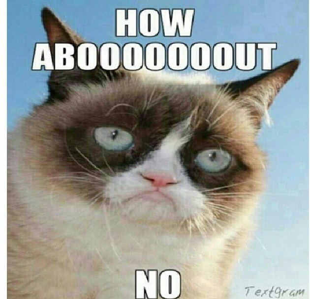 HotNewBreak Monday Memes RIP Grumpy Cat #6