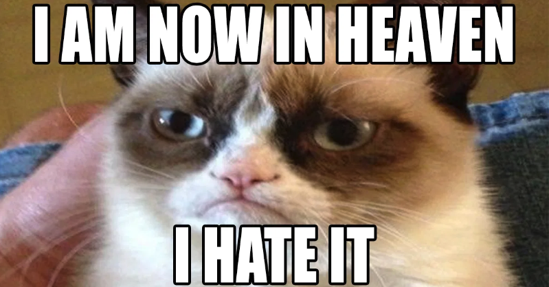 HotNewBreak Monday Memes RIP Grumpy Cat #10
