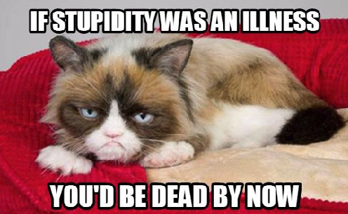 HotNewBreak Monday Memes RIP Grumpy Cat #15