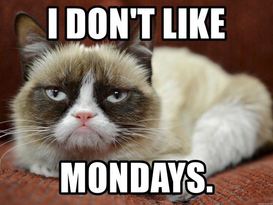 HotNewBreak Monday Memes RIP Grumpy Cat #16