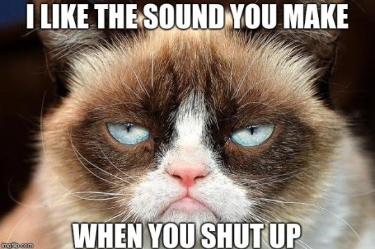 HotNewBreak Monday Memes RIP Grumpy Cat #17
