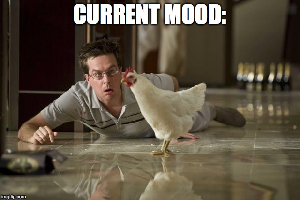 HotNewBreak Monday Memes St Patricks Day Hangover Edition #13