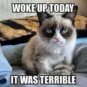 HotNewBreak Monday Memes St Patricks Day Hangover Edition #16