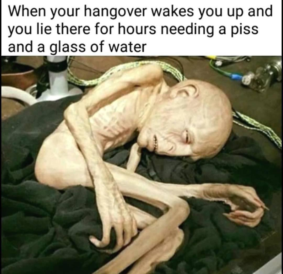 HotNewBreak Monday Memes St Patricks Day Hangover Edition #5