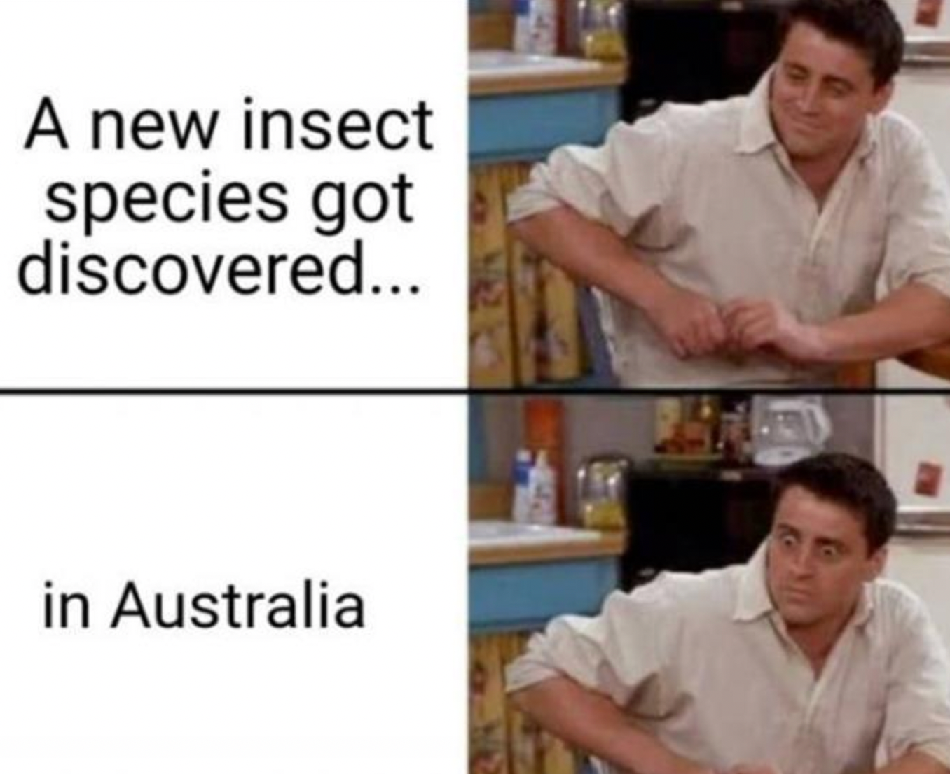 Memes of the Week 01-17-2022 #17