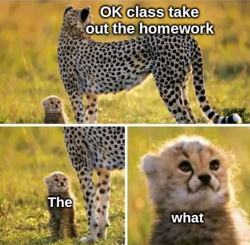 Memes of the Week 01-20-2020 #19