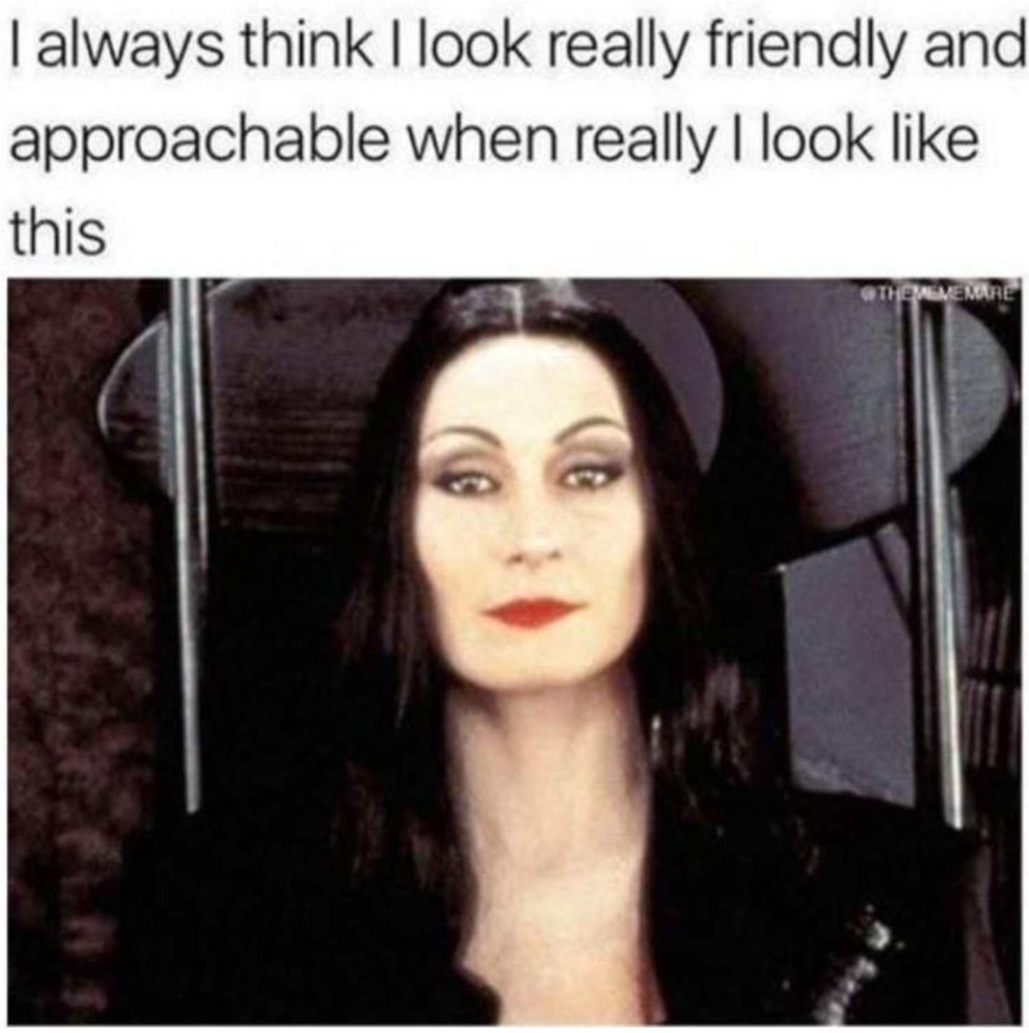 Memes of the Week 03-07-2022 #14
