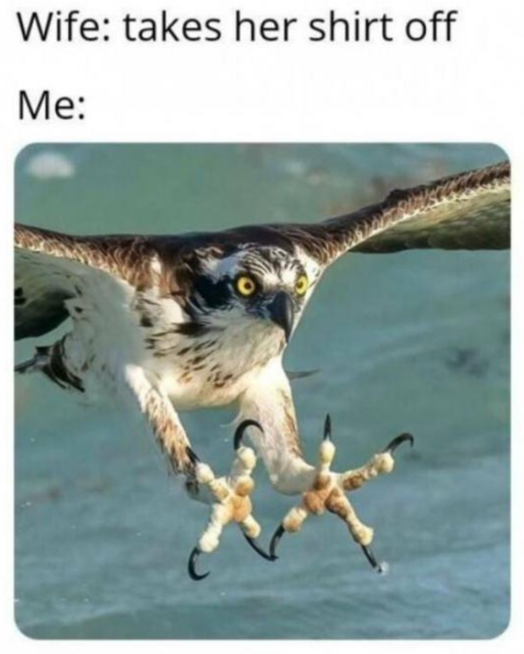 Memes of the Week 03-21-2022 #1