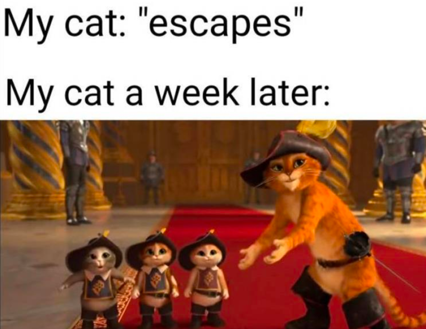 Memes of the Week 05-17-2021 #3