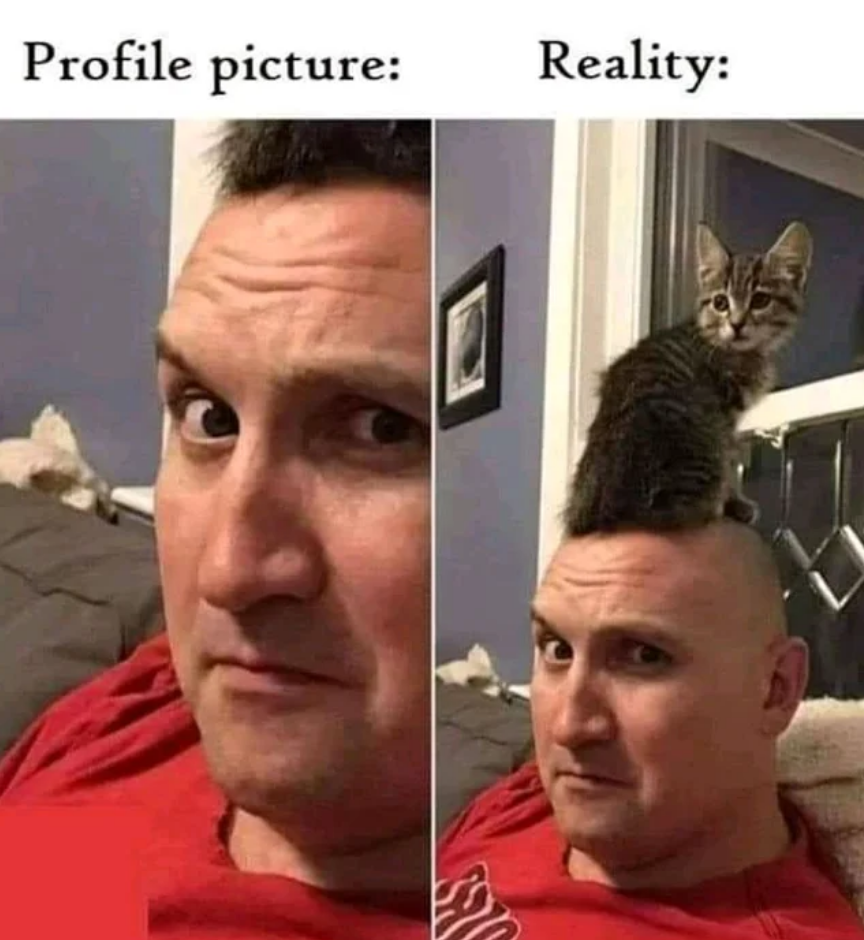 Memes of the Week 06-08-2020 #20