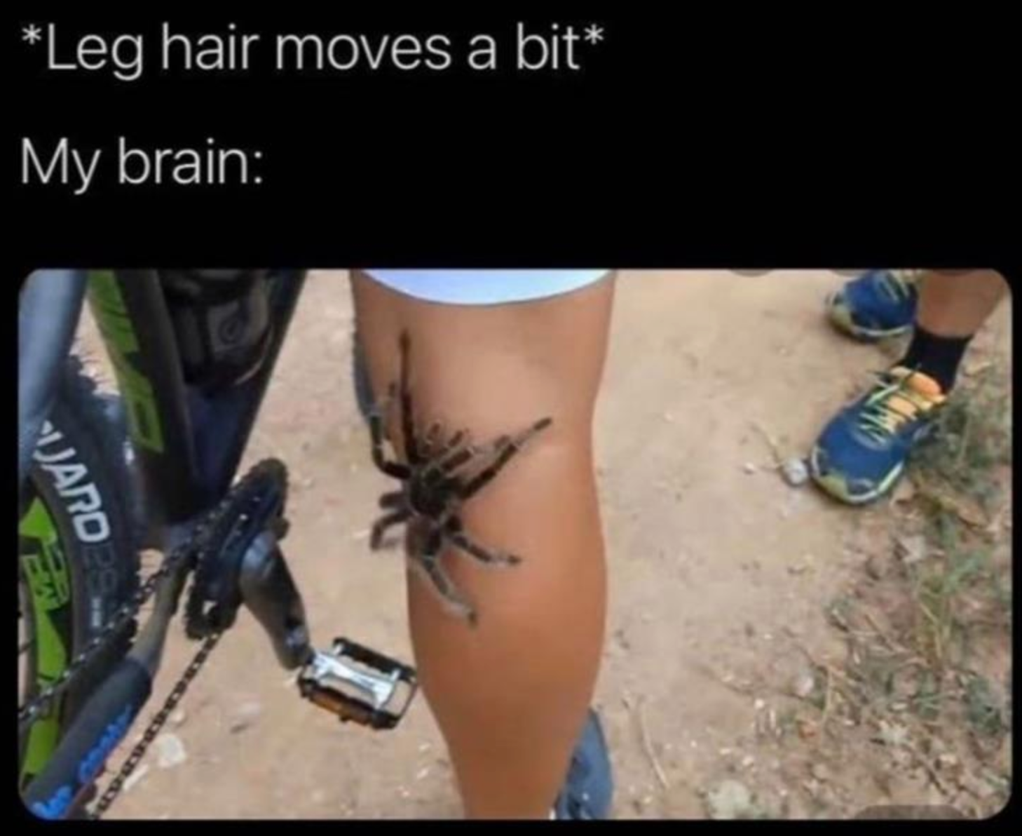 Memes of the Week 06-14-2021 #20