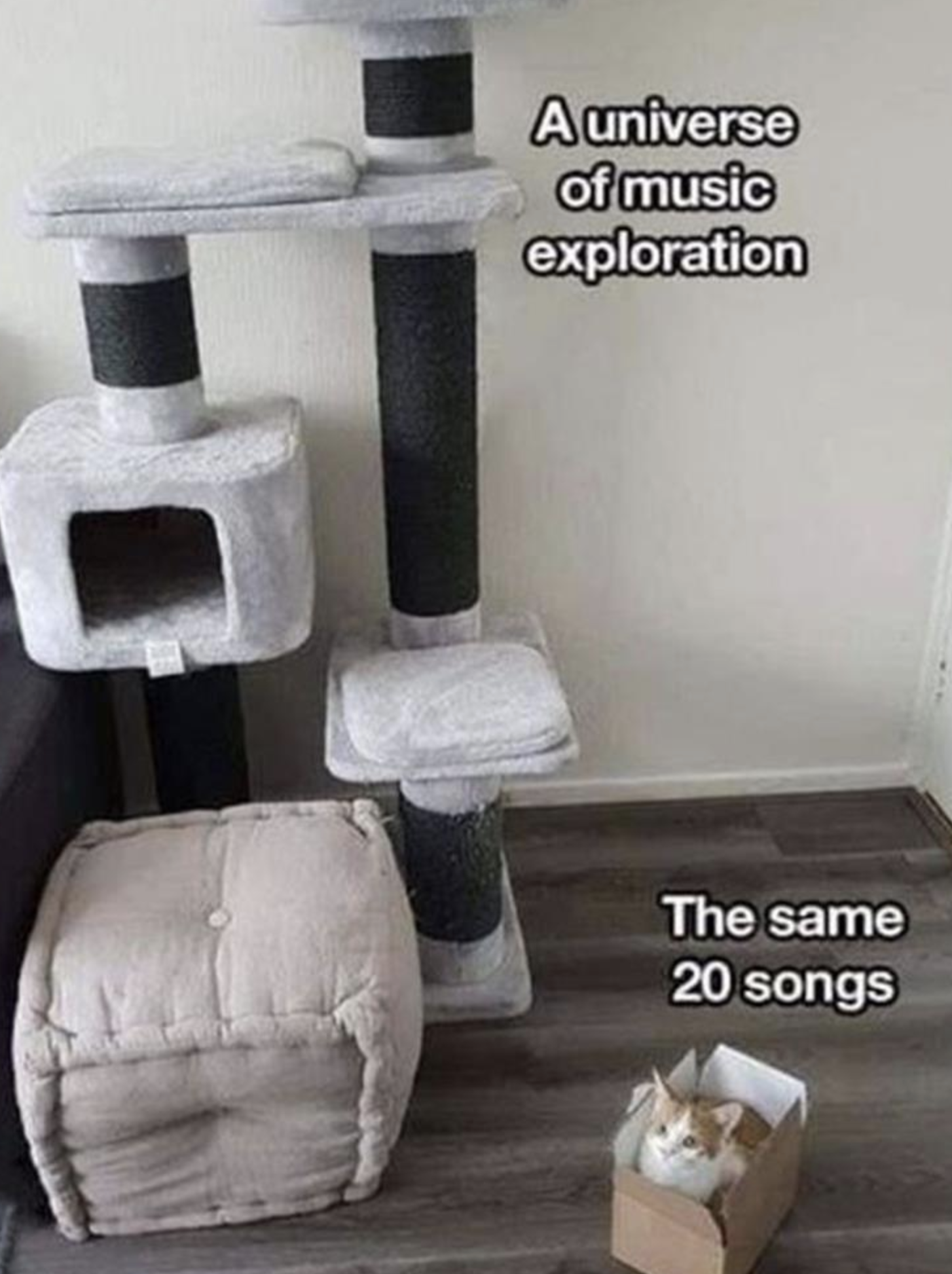 Memes of the Week 06-21-2021 #13