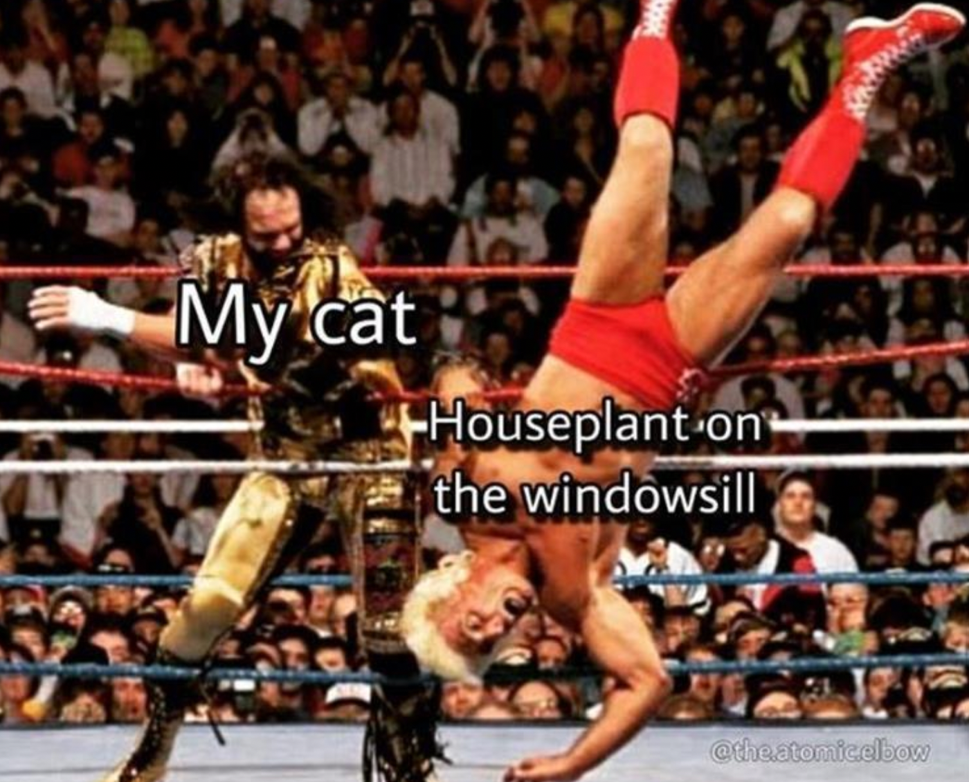 Memes of the Week 07-12-2021 #25