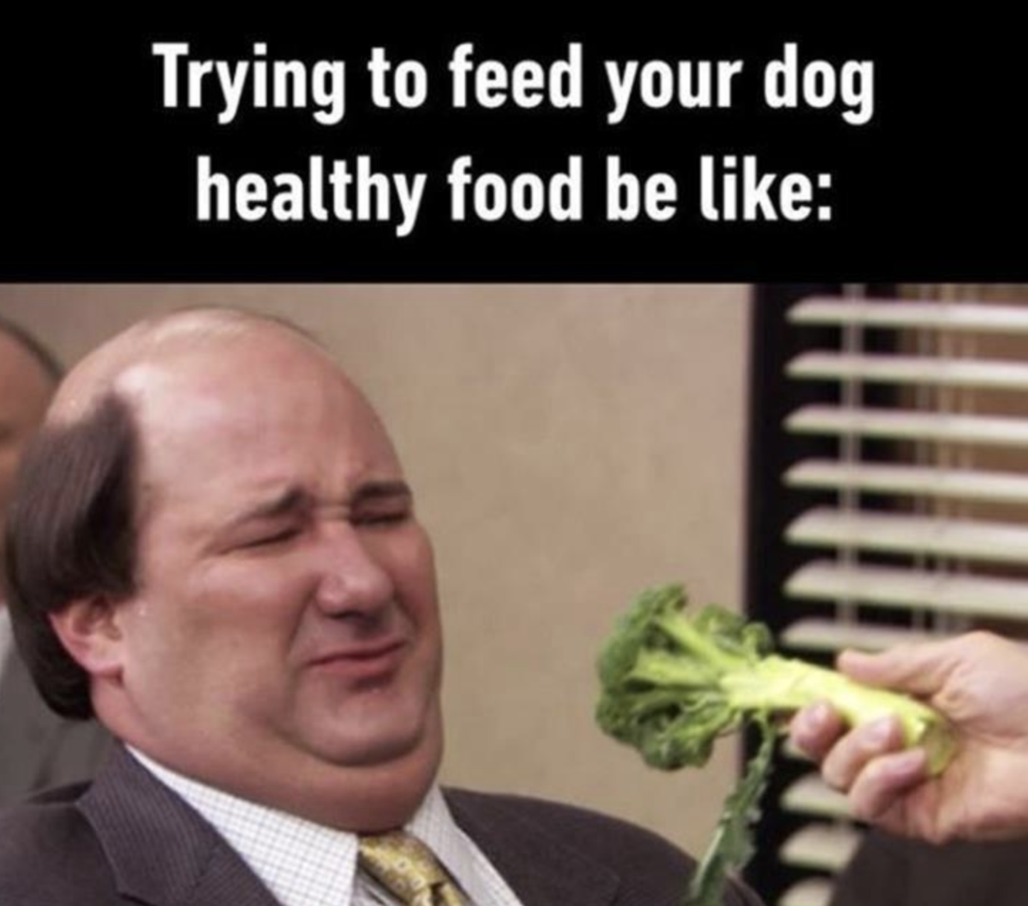 Memes of the Week 08-02-2021 #23