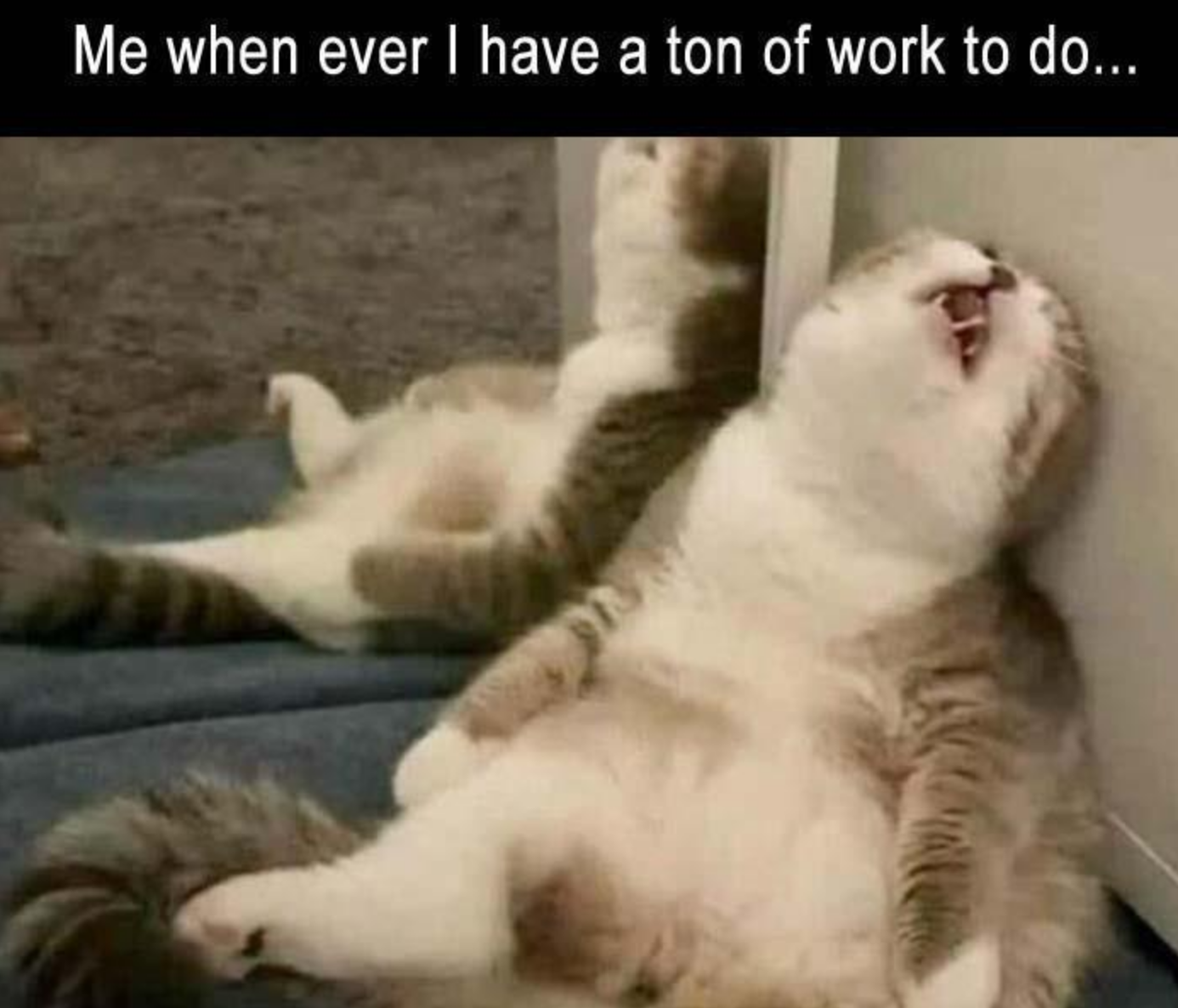 Memes of the Week 08-17-2020 #23