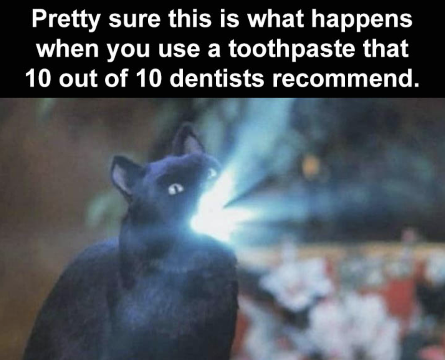 Memes of the Week 08-30-2021 #12