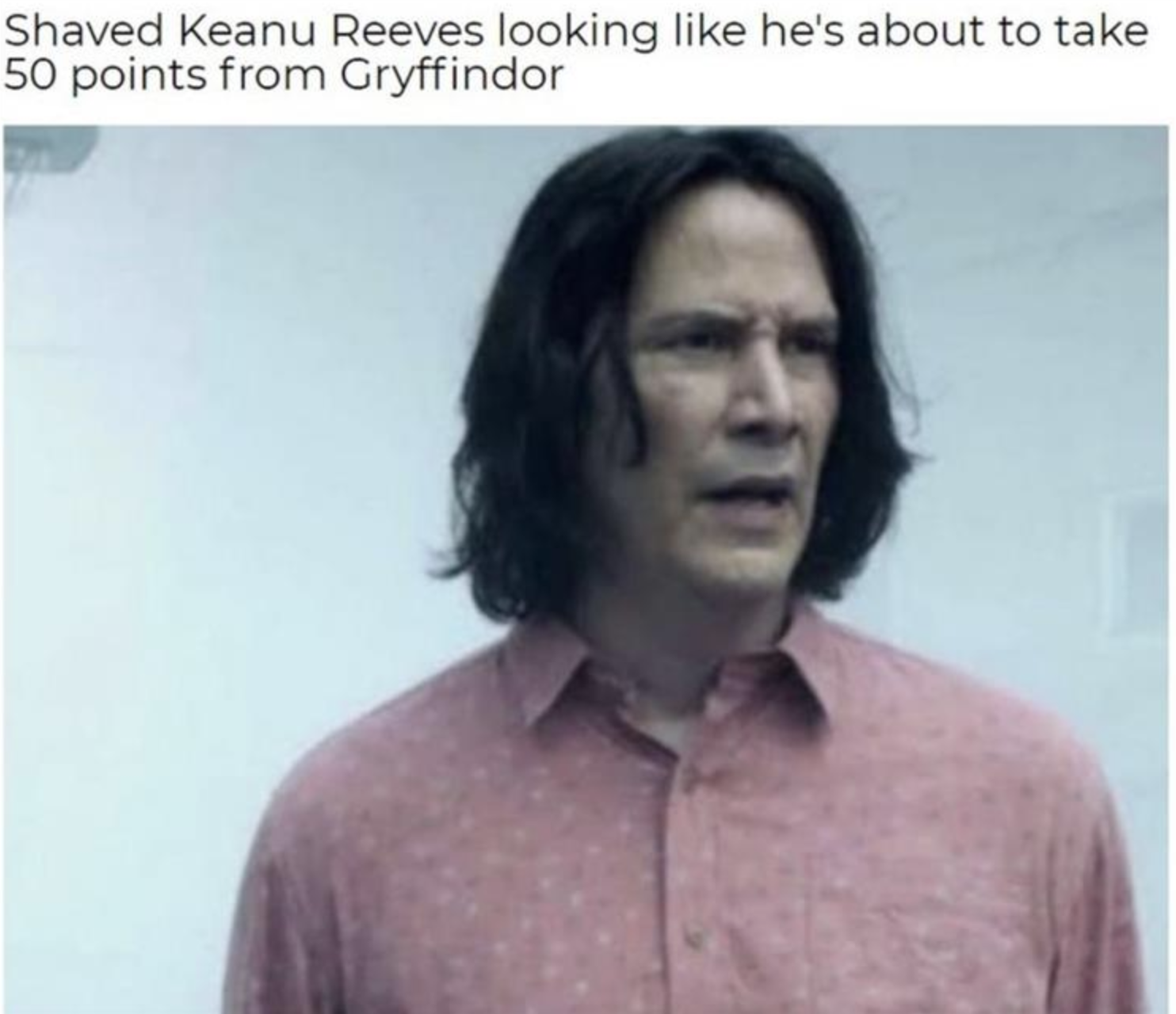 Memes of the Week 09-13-2021 #7