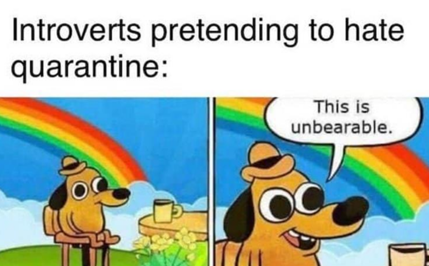 Memes of the Week 11-09-2020 #3