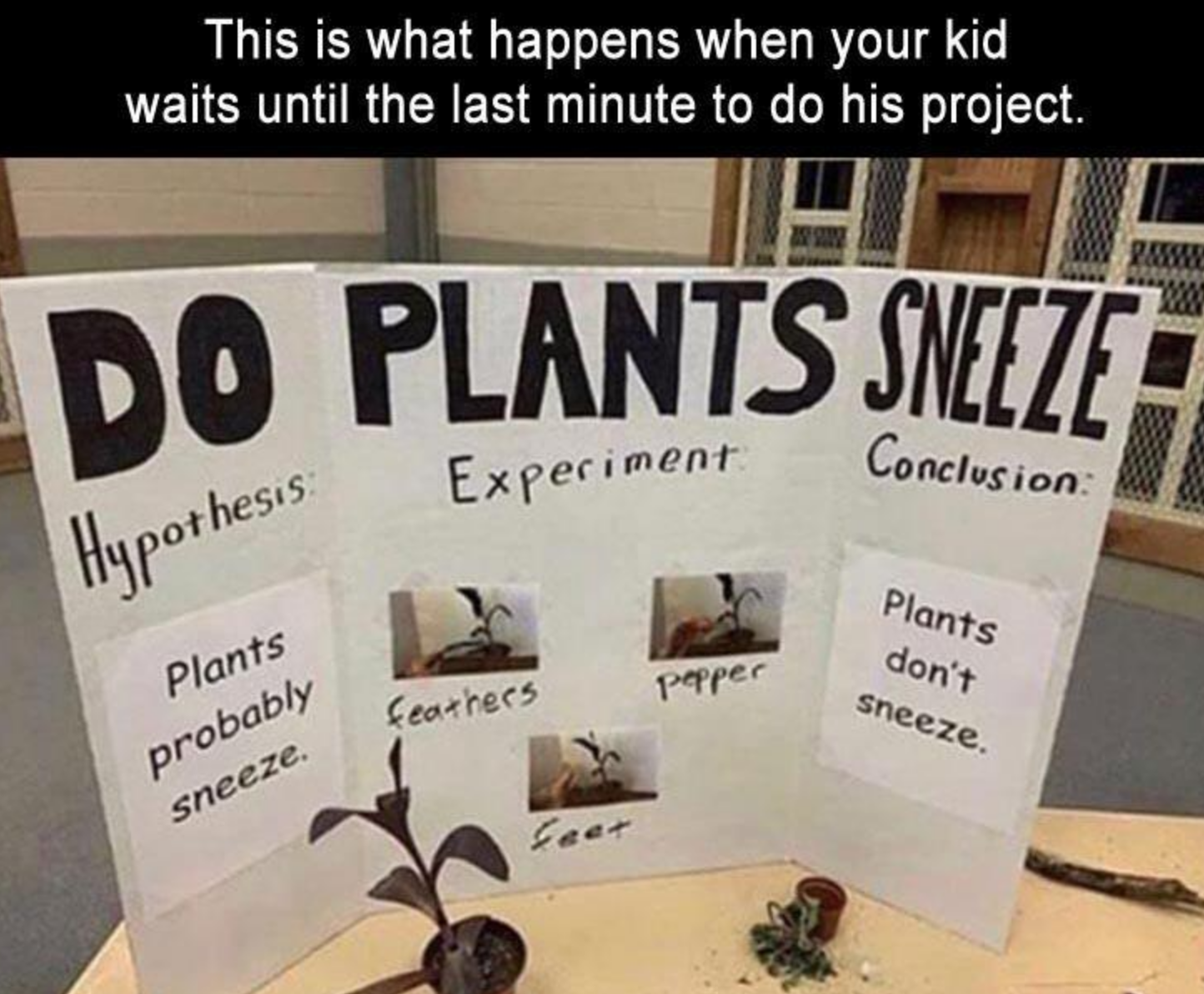 Memes of the Week 11-09-2020 #22
