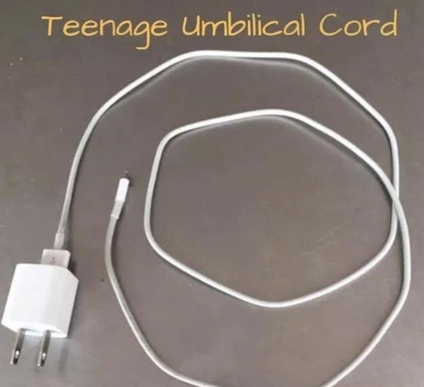 Memes of the Week 11-09-2020 #24
