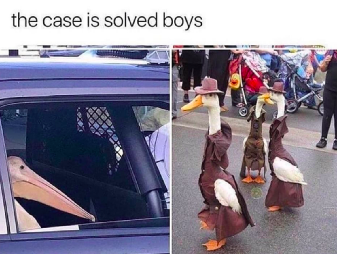 Memes of the Week 9-16 #22