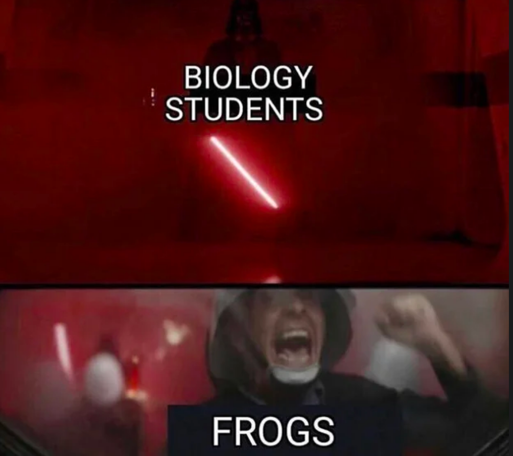 Monday Memes 9-9-19 #17