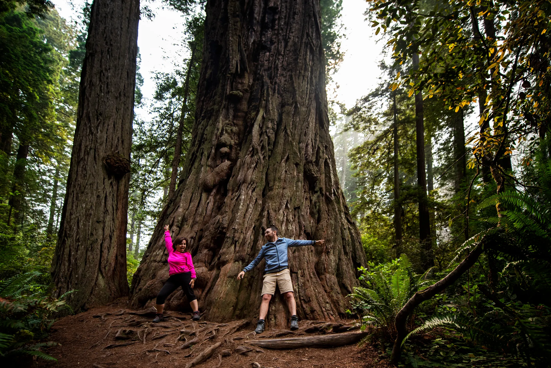 8. Redwood National Park (California)