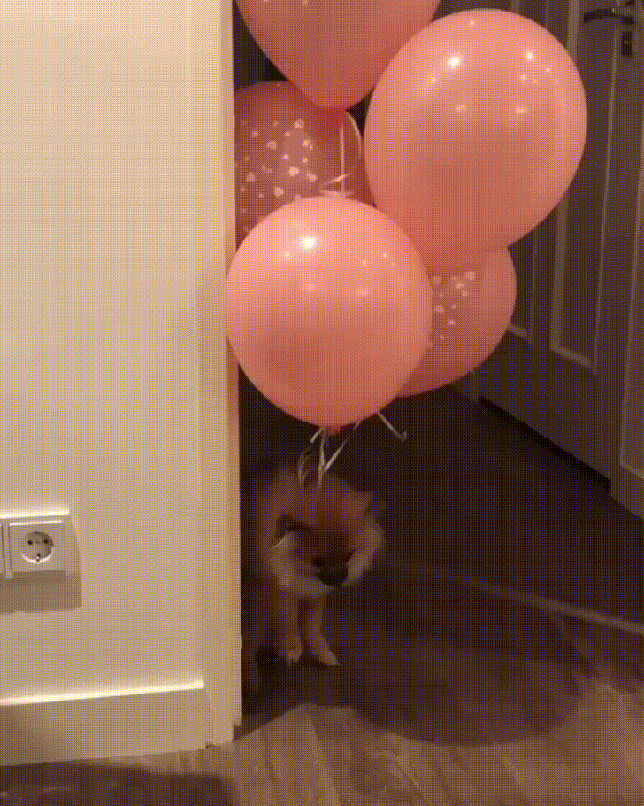 A Fleet of Balloons