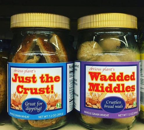 Obvious Plant #3