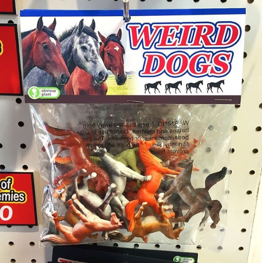 Obvious Plant #4