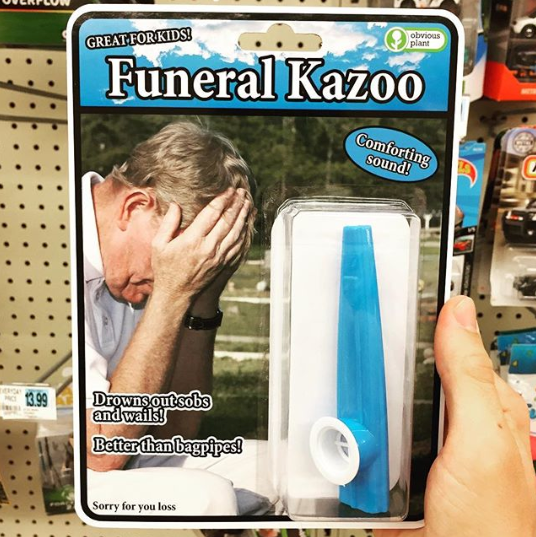 Obvious Plant #11