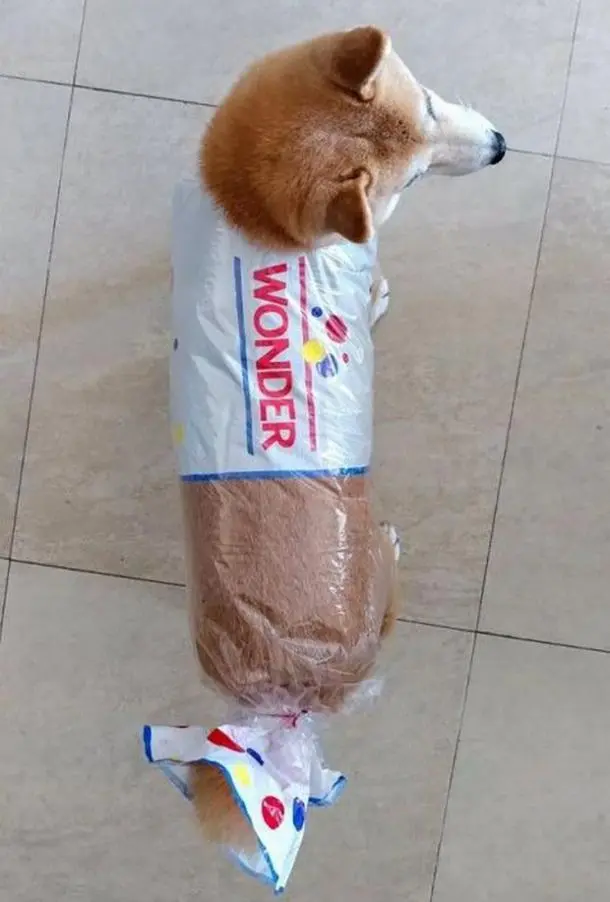 18. Wonder Bread