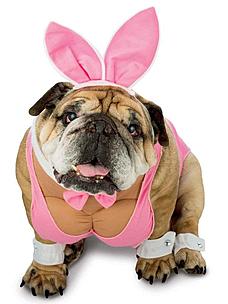 12. Playboy Bunny