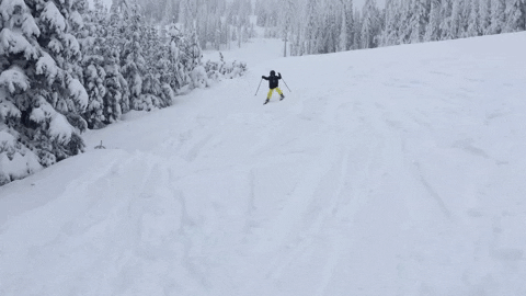 Learn to ski.