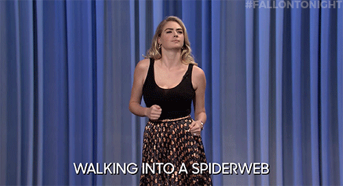 spider web reactions #19