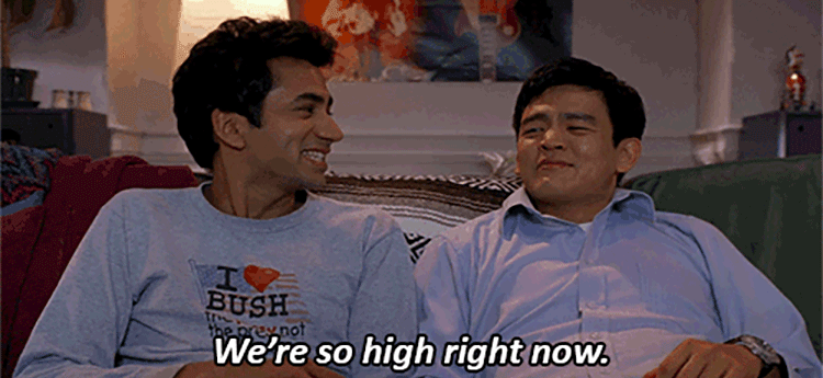 Kumar and Harold, 'Harold & Kumar Go to White Castle'