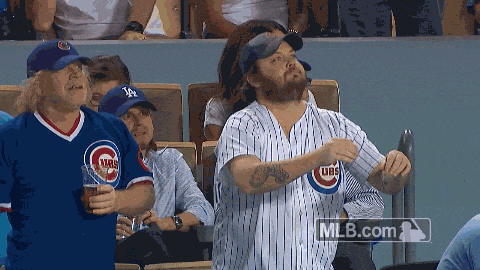 Death by Foul Ball