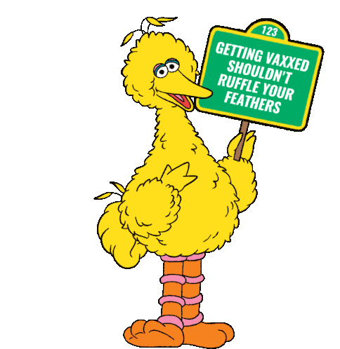 4. Ask Him Why He Hates Big Bird