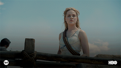 'Westworld'
