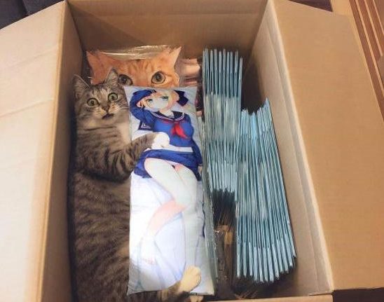 HotNewBreak Laughs: Today’s Funny Photos For 3-25