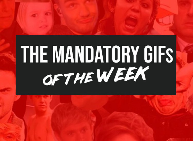 HotNewBreak GIFs of the Week 5-22-2019